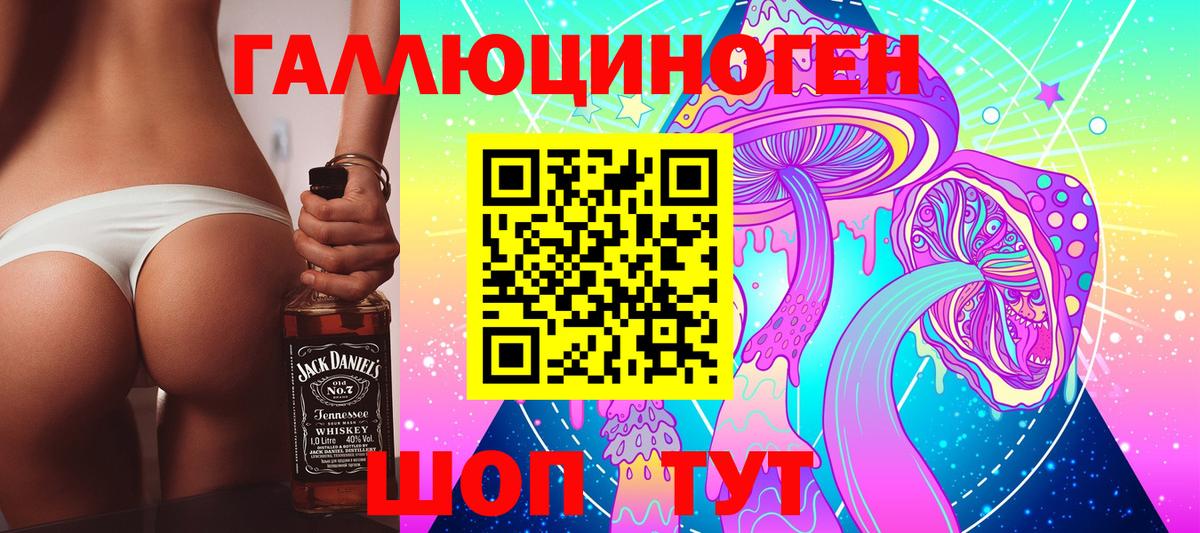 Галлюциногенные грибы Psilocybine cubensis Усть-Джегута