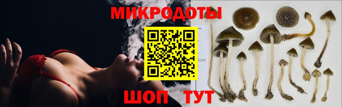 Усть-Джегута  Псилоцибиновые грибы Magic Shrooms  Вход с VPN 